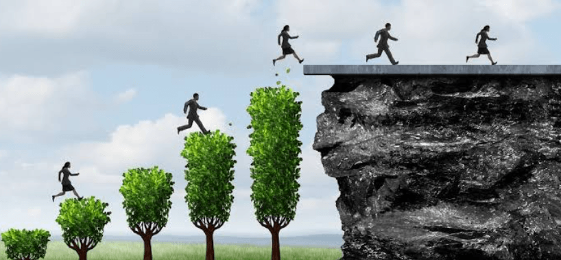 Key Principles for Building a Successful Brand